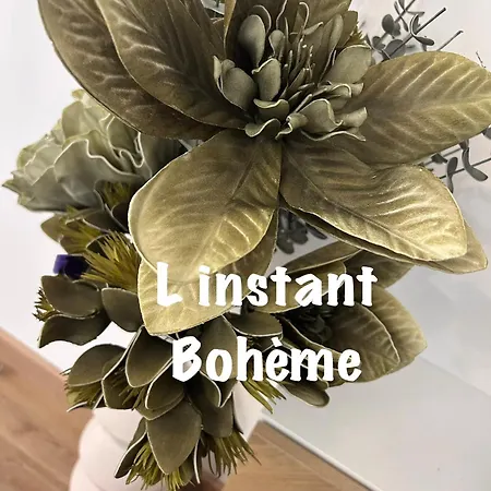 Appartamento L' Instant Bohème T2 Clim , Piscine , Parking