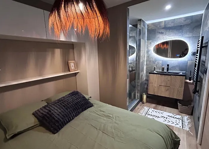 L' Instant Boheme T2 1 Clim , Piscine , Parking Wifi Apartment Balaruc-les-Bains