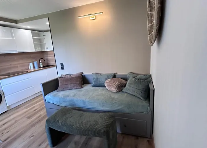 L' Instant Boheme T2 1 Clim , Piscine , Parking Wifi Balaruc-les-Bains