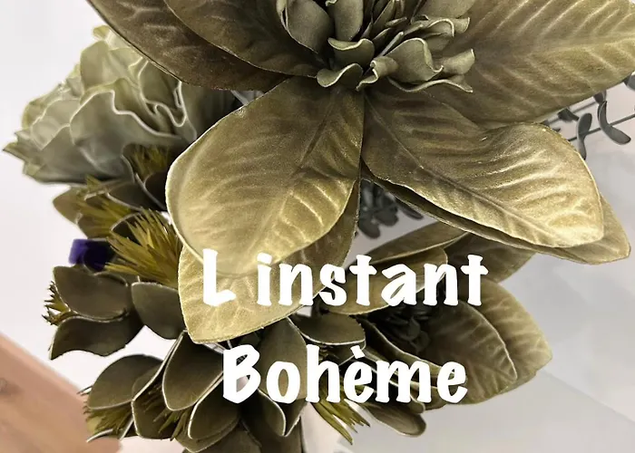 Apartment L' Instant Boheme T2 1 Clim , Piscine , Parking Wifi